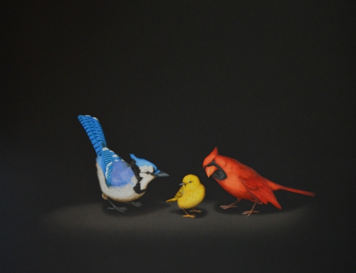 painting of a cardinal, goldfinch and a bluejay by Isabelle du Toit