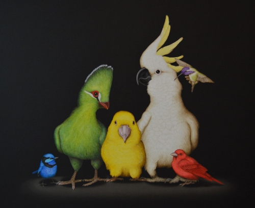painting of birds by Isabelle du Toit