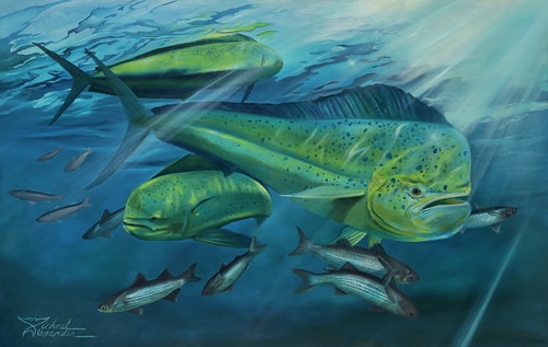 painting of fish by Michael Alexander