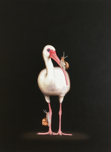 painting of an Ibis and snails by Isabelle du Toit
