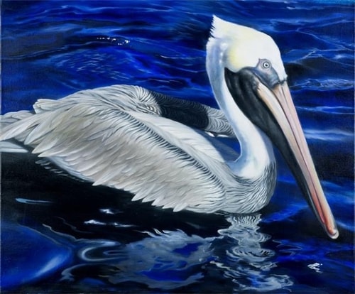 painting of an Islamorada Pelican by Michael Alexander