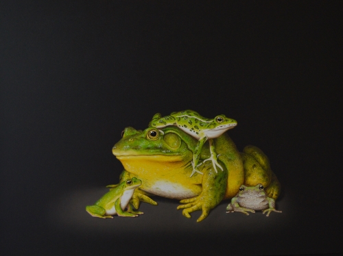 painting of frogs by Isabelle du Toit