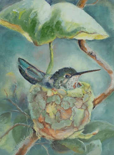 painting of a nesting hummingbird by Pamela Resnick