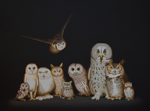 painting of owls by Isabelle du Toit