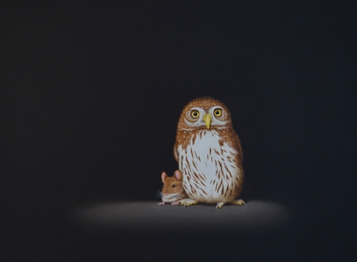 painting of a pygmy owl and a mouse by Isabelle du Toit