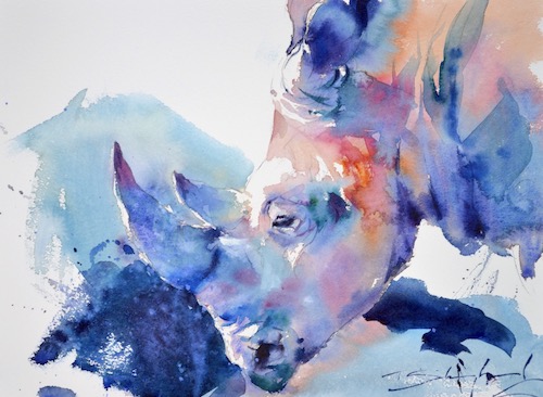 watercolor of a rhinocerous by Tom Shepherd