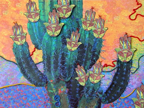 cactus photography by Judith Rothenstein-Putzer