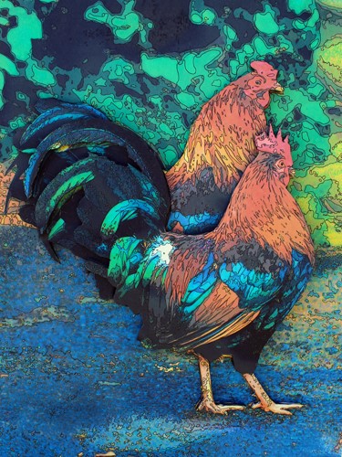 photography of roosters by Judith Rothenstein-Putzer