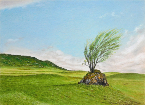 color pencil landscape by Rhia Janta-Cooper