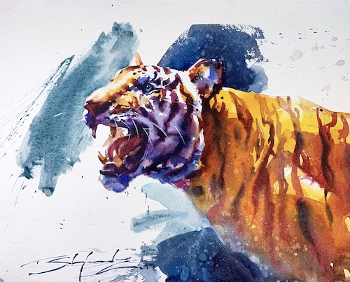 watercolor of a tiger by Tom Shepherd