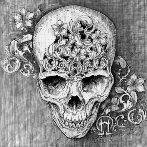 pen and ink drawing of a skull by Julie Peterson-Shea