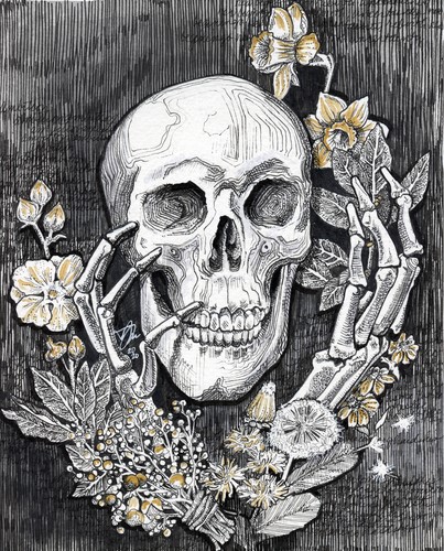 pen and ink drawing of a skull by Julie Peterson-Shea