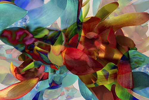 abstract digital composite photograph by Joey Morgan