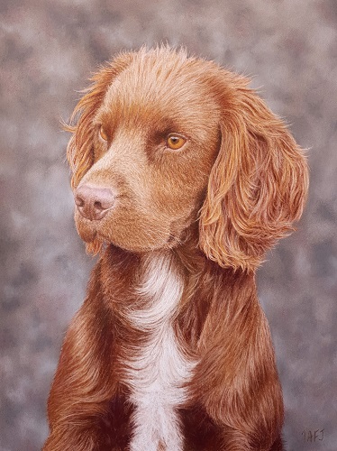 pastel of a dog by Ivan Jones