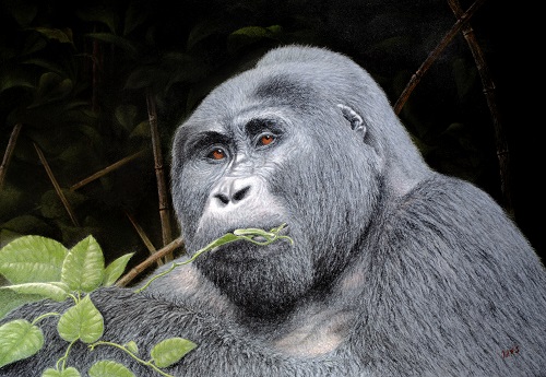 pastel painting of a gorilla by Ivan Jones