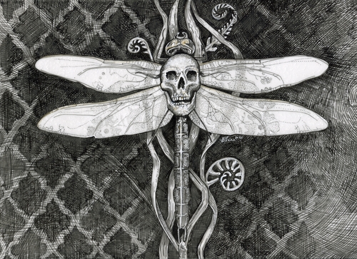 pen and ink drawing of a dragonfly with a skull by Julie Peterson-Shea