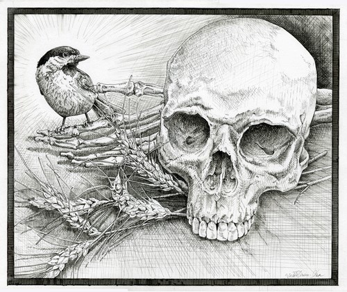 pen and ink drawing of a skull and a bird by Julie Peterson-Shea