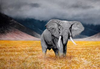 pastel painting of an elephantin the Ngorongoro Crater by Ivan Jones