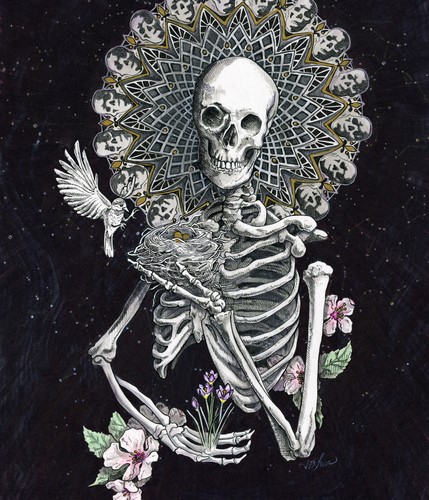pen and ink drawing of a skeleton by Julie Peterson-Shea