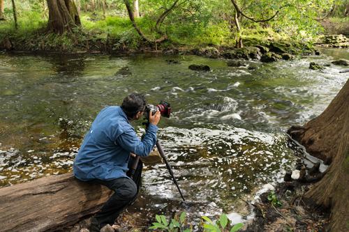 Artist Satesh Ramjattan in the field