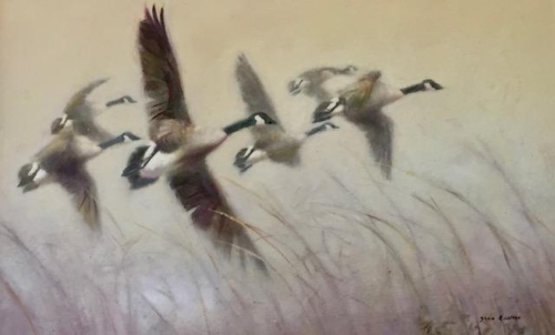 painting of Canadian Geese by John Wilson