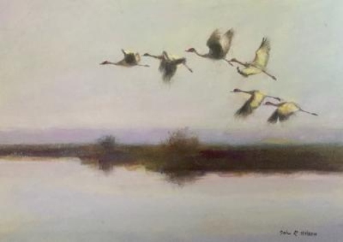 painting of sandhill cranes by John Wilson