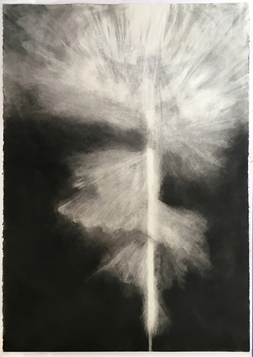 charcoal drawing by Melissa Reischman