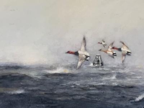 painting of Canvasback ducks by John Wilson