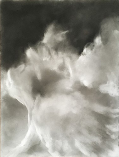 charcoal drawing by Melissa Reischman