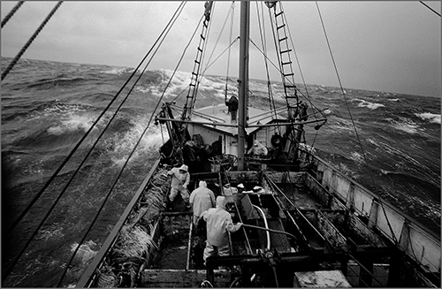 photo of the Joseph Lucia II by Nubar Alexanian