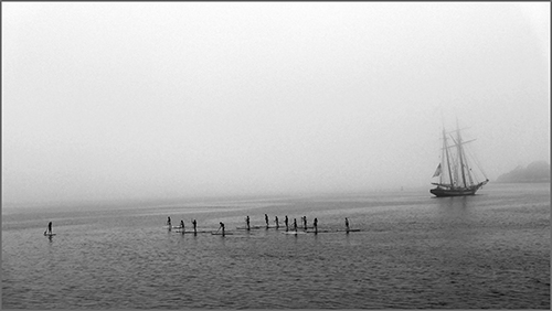 photo of paddleboarders by Nubar Alexanian