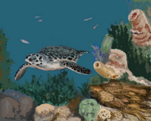 sea turtle painting by Carole K. Boyd