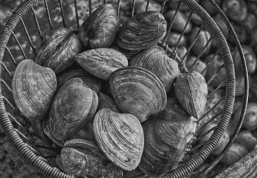 clams at Baymen's Seafood, New Gretna, NJ George Mattei