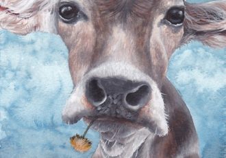 watercolor portrait of a cow by Katherine Klimitas