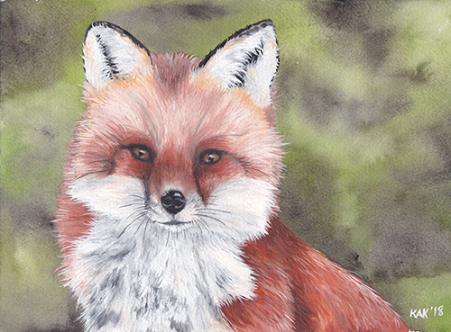 watercolor portrait of a fox by Katherine Klimitas