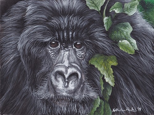 watercolor portrait of a gorilla by Katherine Klimitas