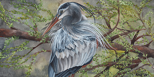 watercolor portrait of a heron by Katherine Klimitas