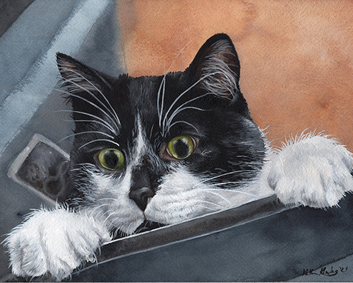 watercolor portrait of a cat by Katherine Klimitas