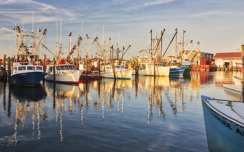 Viking Village boats, NJ George Mattei