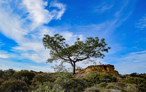 landscape photography by Gloria Moeller