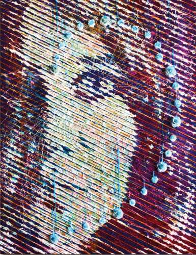 mixed media portrait of Janis Joplin by Mauricio Sanchez Rengifo