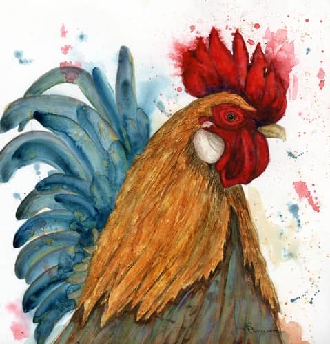 rooster watercolor by Susan Arneson