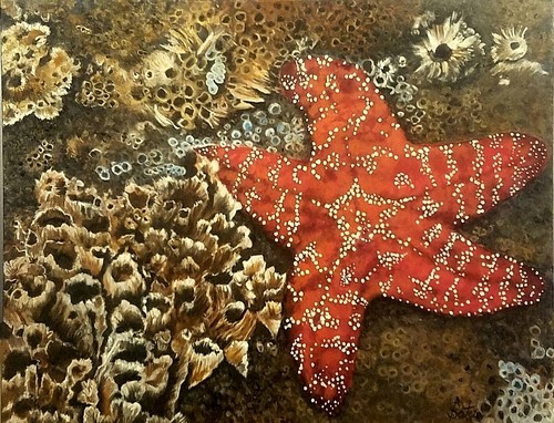 sealife painting by Jeanie Bates