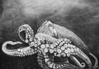 charcoal octopus portrait by Linda Harrison-Parsons