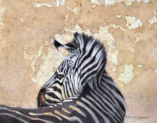 mixed media zebra portrait by Linda Harrison-Parsons