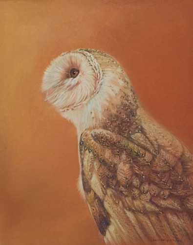 pastel owl portrait by Linda Harrison-Parsons