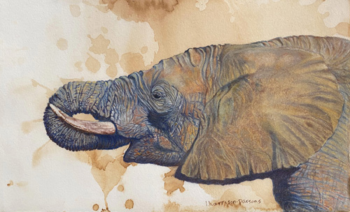 pastel elephant portrait by Linda Harrison-Parsons