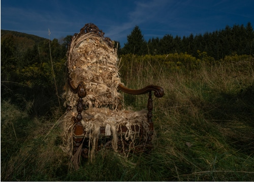 fiber weaving by Toni Brogan