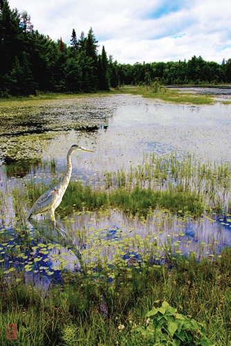 landscape photography by David Tulbert