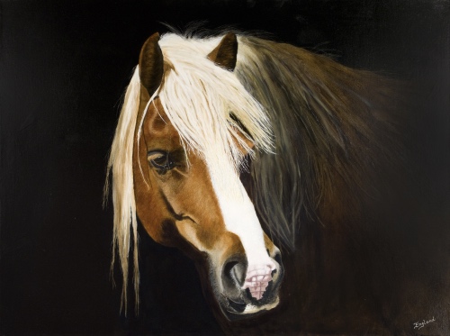 horse portrait by Jacqueline England